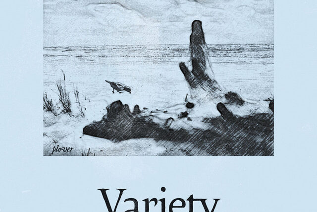 variety – Plover